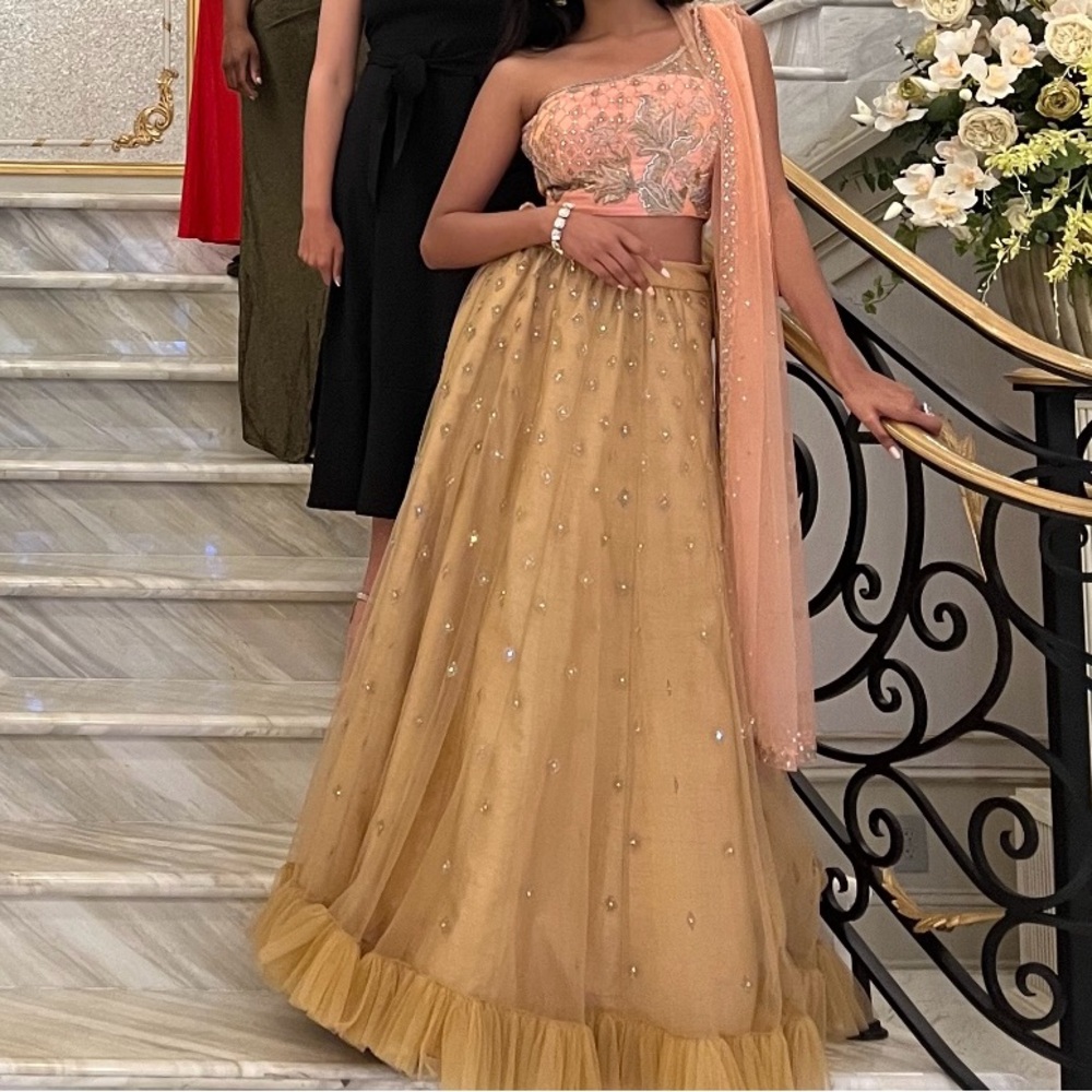 Pink and Tan  Lehenga Choli